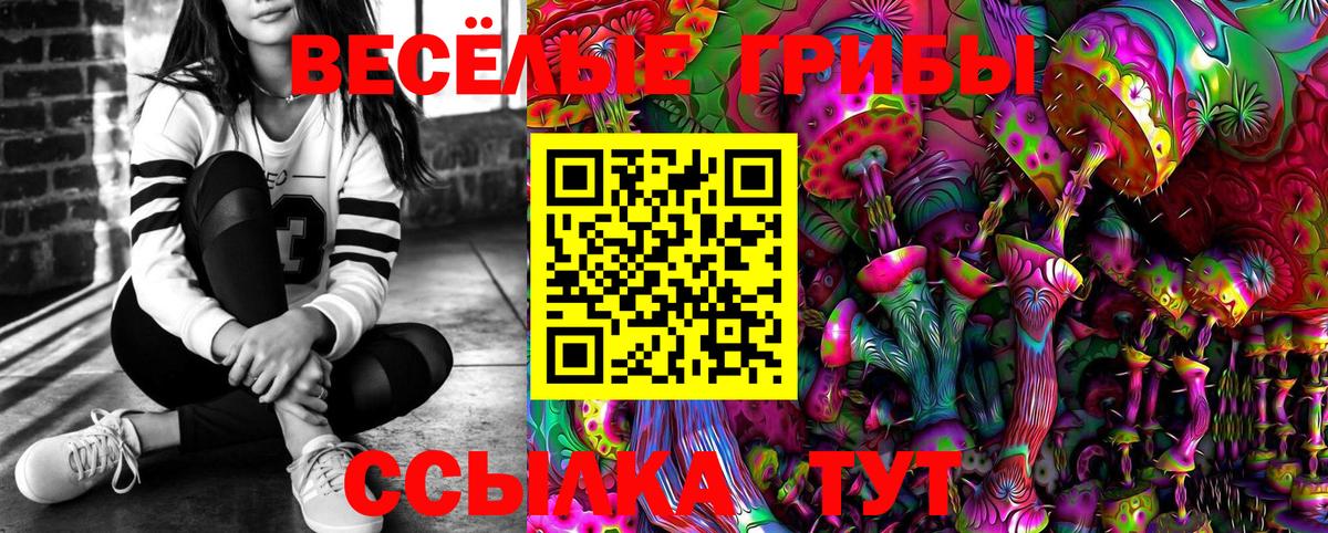 Псилоцибиновые грибы мицелий Нерюнгри